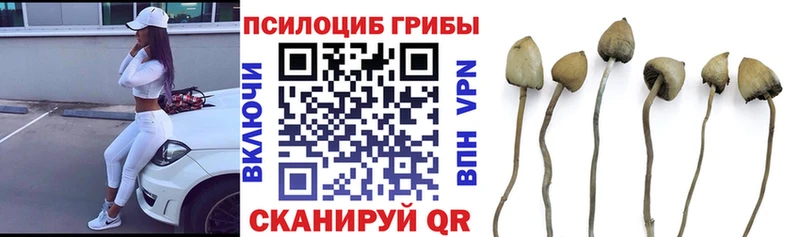 Псилоцибиновые грибы MAGIC MUSHROOMS  Каменногорск 
