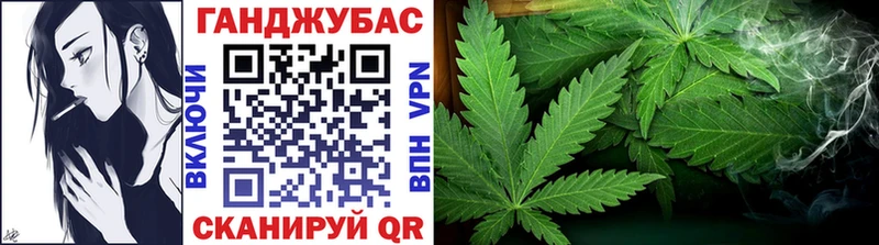 Конопля индика  Каменногорск 